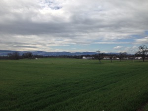 View over fields with mountains in the background