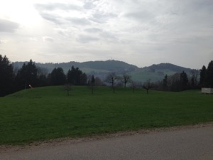 View of the Bachtel over green fields.