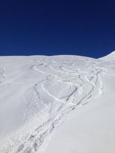 Ski tracks through fresh powder