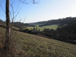 View over Coulsdon Valley, in December