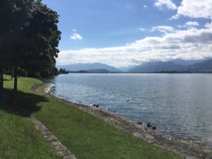 View down ZuriSee to Rapperswil with mountains in background