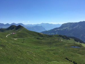 View over green alpine meadows with mountains in the background