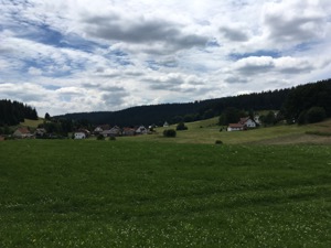 View down alpine valley in summer.