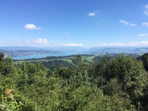 View over treetops to the Zurisee in bright sunshine