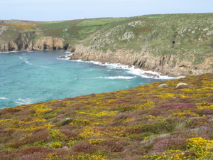 View of the Coast