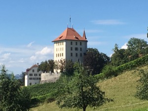 White Schloss Heidegg on hill with vineyards running down the slopes beneath it, and trees framing.