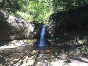 Waterfall in woods, with dappled light