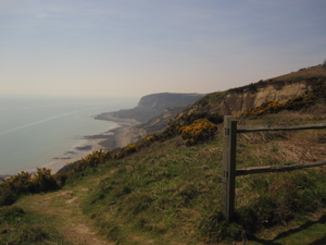 The view westwards along the coast, showing heather covered hills, cliffs and the sea