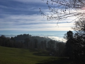 View along the Albis range in low fog and bright sunshine