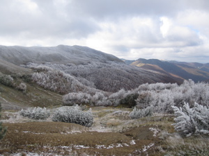 View down frost covered valley