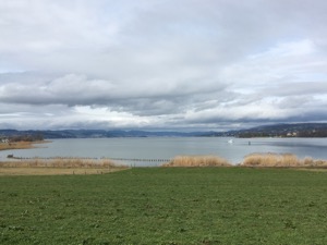 View over the Zurisee, with a white boat in the mid-distance