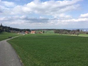 View back across green fields and low farm buildings