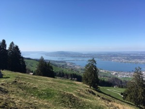 View down the Zurisee from above Lachen, with blue skies