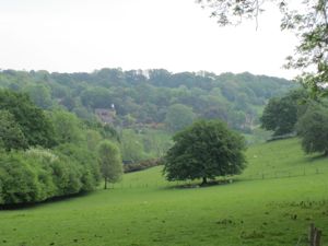 Grassy field, framed by trees, under a hazy sky.