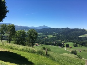 Green fields and rolling hills, with snow capped mountains in the distance