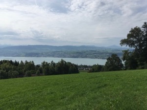 View over green fields sloping down to the Zurisee, with mountains in the background