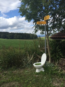 Ornamental toilet flower pot