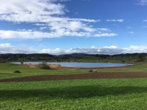 View over small lake, with green fields around and light clouds in the sky