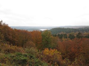 View down to lake, over woods with leaves turning golden brown