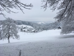 View over snow covered fields, with a snow covered farm in the mid distance