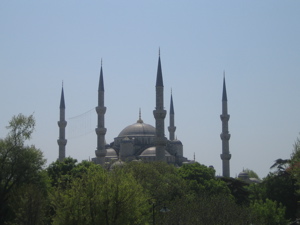 Blue Mosque above trees