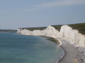 Coastline Southdowns