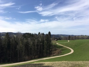 View from grass covered hilltop over distant mountains with track in foreground