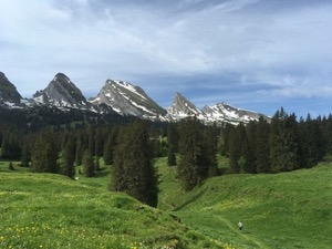 Peaks of the Churfusten above green alpine meadows