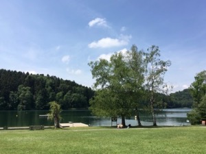 View of a small lake, with a grass badi in the foreground