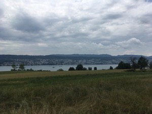 View over the Zurisee, under grey clouds