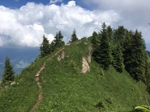 Narrow track along a grass covered ridge