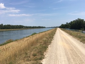 View along the cycle path beside the river Rhein