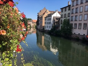 Flowers by the river in Strasbourg