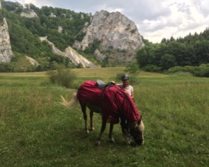 Horse and girl standing in field