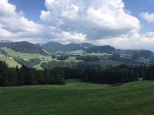 View over rolling green fields and woods, with mountains in the background.