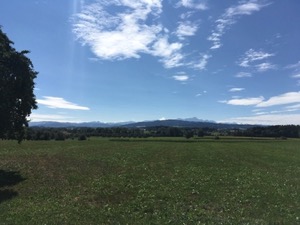 View across green fields with mountains in the background