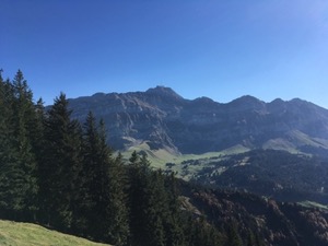 View of Saentis, over tree tops