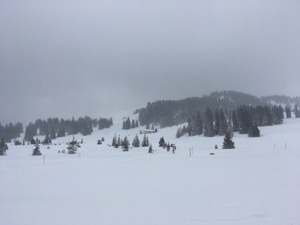 Snowy hillside grey in clouds