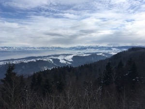 View over dark woodlands to misty lake, framed by snow covered hills and mountains.