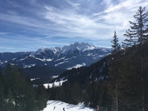 Snow covered mountain above a tree lined ski run.