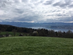 View over Zurisee under grey clouds