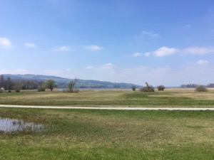 low marshland and the southeastern corner of the Greifensee