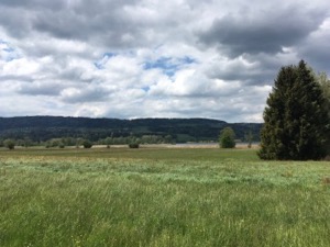 View over the Greifensee under grey and angry skies.