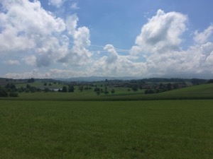 View over sunny green fields, with mountains in the distance.