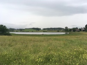 View over the Lützelsee under a grey sky