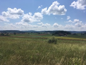 View over rolling hills in sunshine.