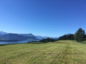 View over green fields, with mountains and lake in background.