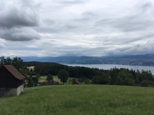 View over Zurisee, under grey cloud