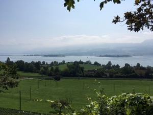 View over the Zurisee in bright sunshine