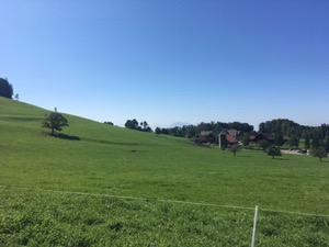 View over green farm fields at the top of the Albispass